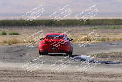 media/Oct-04-2025-OnGrid (Sat) [[44bd565ffa]]/Purple Group/Grapevine/